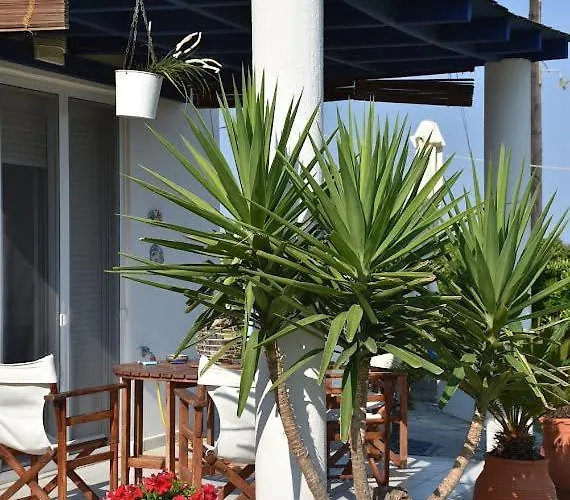 Sunset House * 波塞蒂